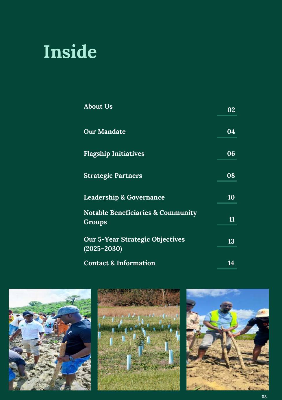 Organizational Profile — page 3