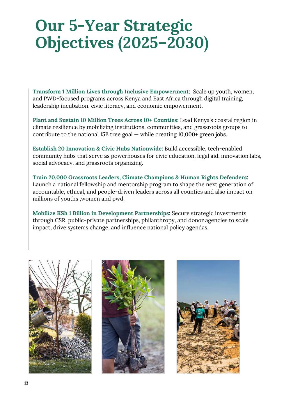 Organizational Profile — page 13