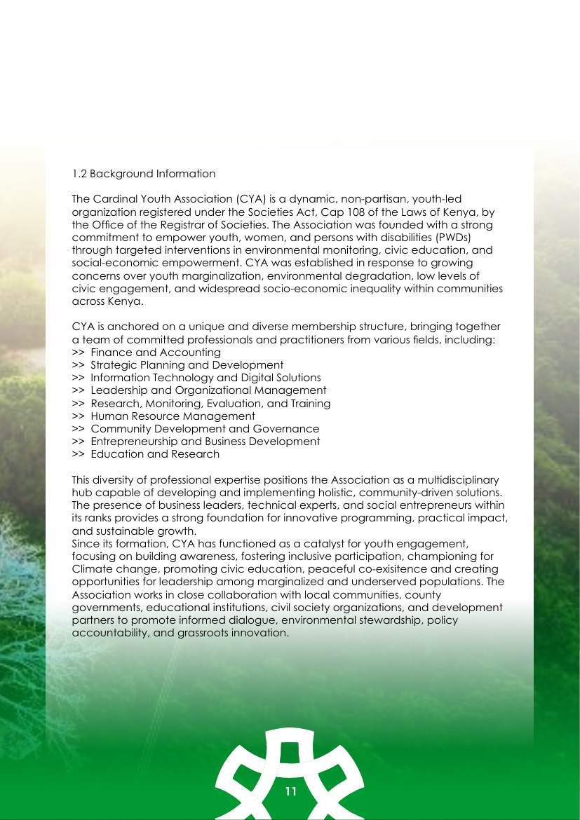 Strategic Plan (2026–2030) — page 11