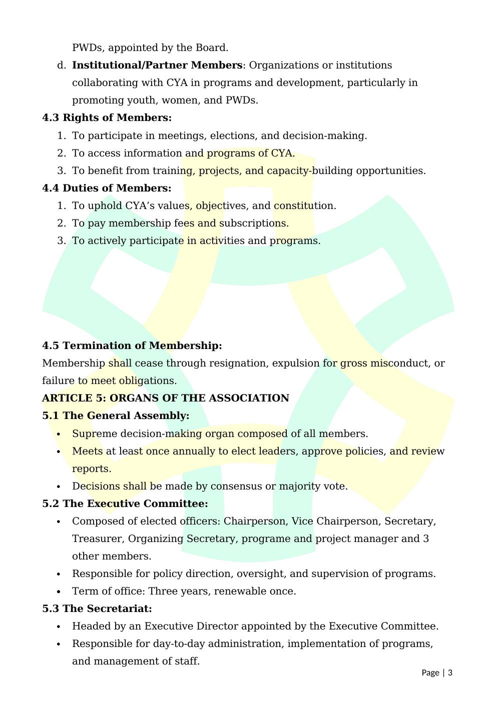 CYA Constitution (Pages 1–4) — page 3